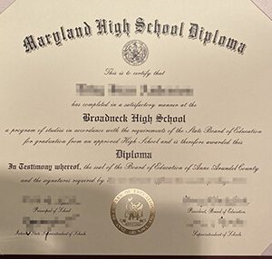 fake Broadneck High School diploma