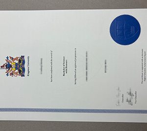 fake Kingston University diploma