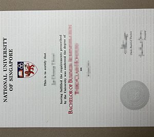 fake National University of Singapore diploma