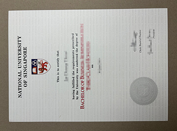 fake National University of Singapore diploma