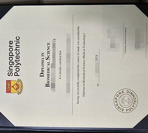 fake Singapore Polytechnic diploma