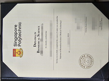 fake Singapore Polytechnic diploma