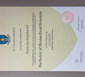 make University of Sheffield diploma