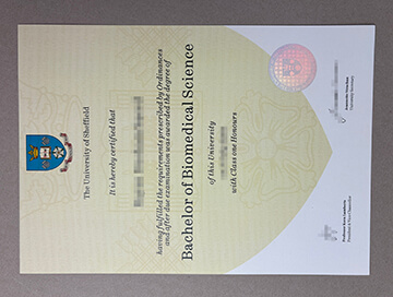 make University of Sheffield diploma