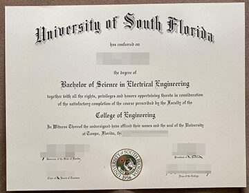 Get a University of South Florida diploma