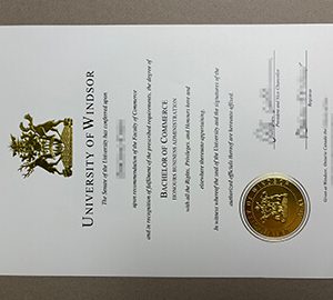 Get a University of Windsor diploma