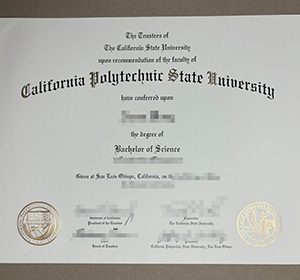 Cal Poly San Luis Obispo diploma