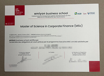 Emlyon Business School certificate