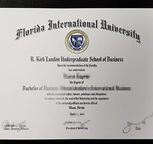 Florida International University degree