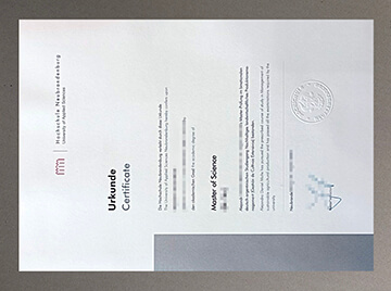 Hochschule Neubrandenburg certificate