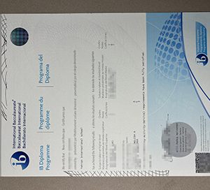 International Baccalaureate certificate