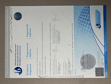 International Baccalaureate certificate