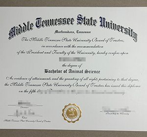 Middle Tennessee State University diploma