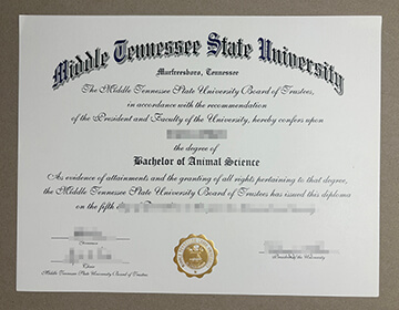 Middle Tennessee State University diploma