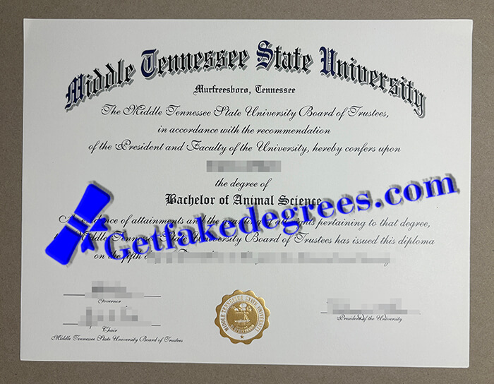 Middle Tennessee State University degree