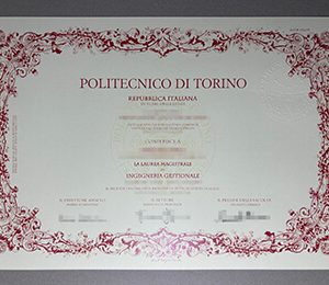 Politecnico Di Torino degree