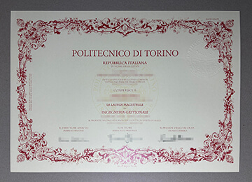 Politecnico Di Torino degree