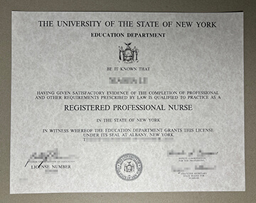 Registered Professional Nurse diploma