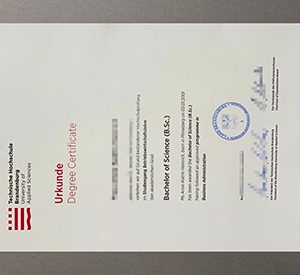 Brandenburg University of Applied Sciences degree