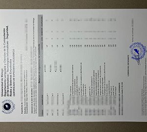 Universidad de Málaga transcript