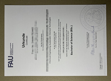 University of Erlangen Nuremberg degree