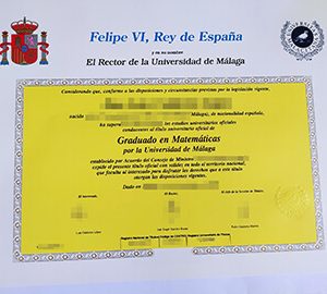 University of Málaga degree