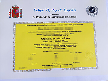 University of Málaga degree