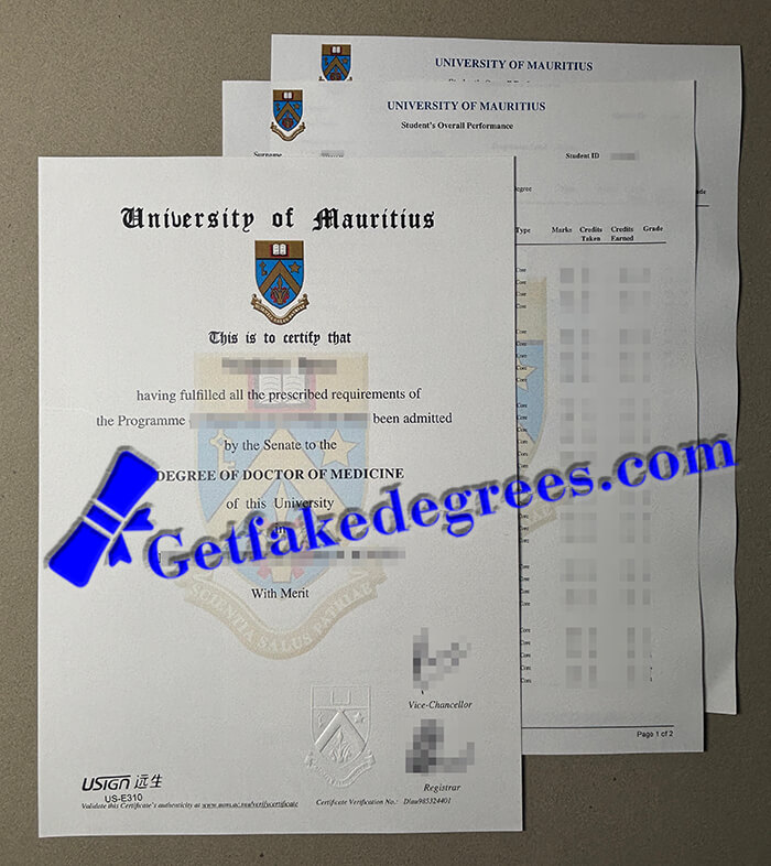 University of Mauritius degree