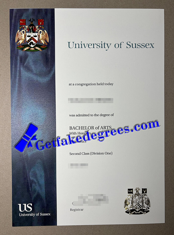 University of Sussex degree