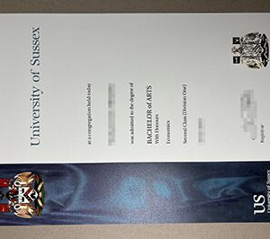 University of Sussex certificate