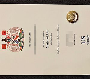 University of Sussex diploma