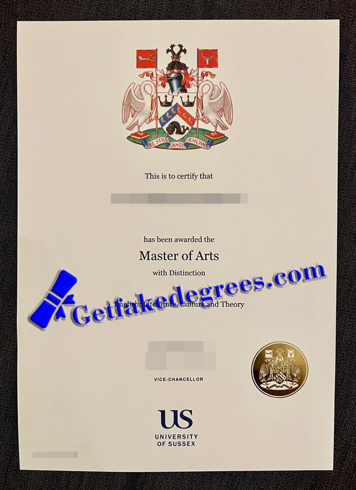 University of Sussex degree