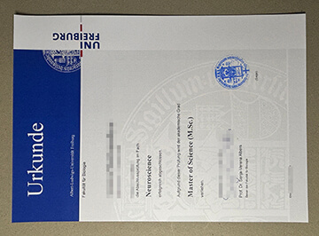 University of Freiburg degree