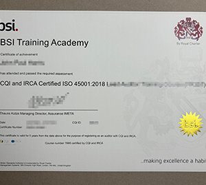 BSI Training Academy diploma