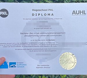 Hogeschool PXL certificate