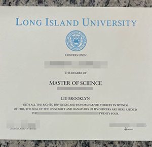 LIU Brooklyn diploma