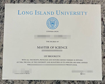 LIU Brooklyn diploma