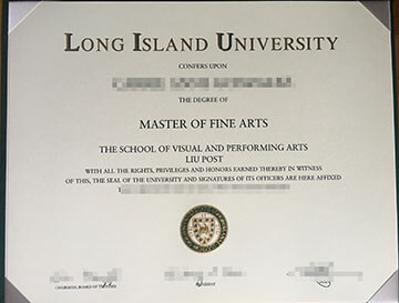 LIU Post diploma