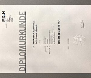 Mediadesign Hochschule degree