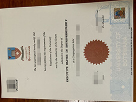 University of Botswana diploma