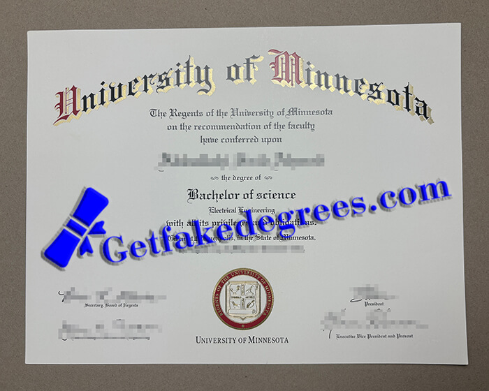 University of Minnesota degree