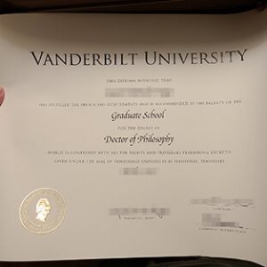 Vanderbilt University degree