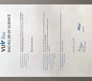 Vrije Universiteit Amsterdam diploma