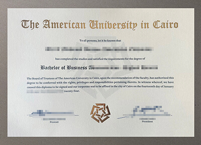 American University in Cairo diploma