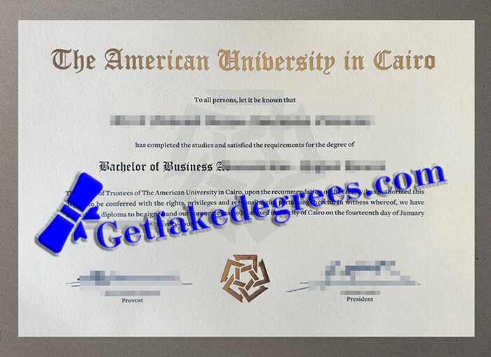 American University in Cairo degree