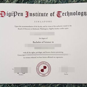 Digipen Institute of Technology diploma