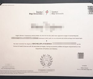 Istanbul Bilgi University diploma