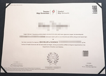 Istanbul Bilgi University diploma