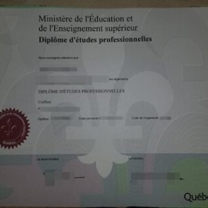 MEES diploma