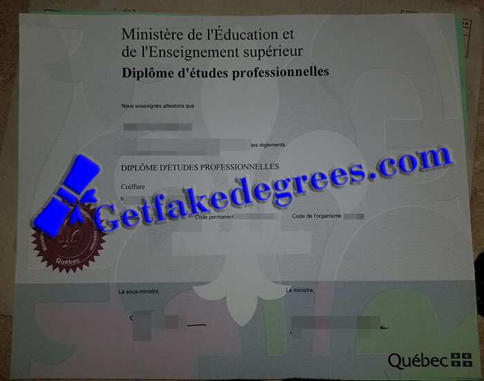 Ministry of Education and Higher Education of Quebec diploma